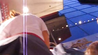 Hahn gegen Scham rei ...